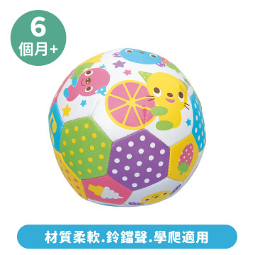 Toyroyal樂雅 | 柔軟遊戲球(大) (NO.1040)