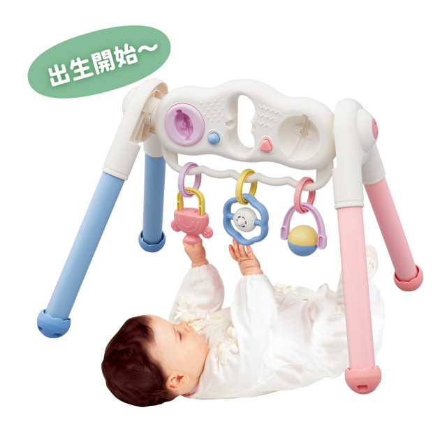 Toyroyal樂雅｜寶寶二合一智育健力架(No.3811)