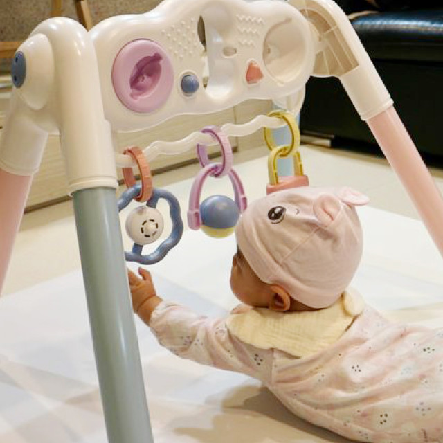 Toyroyal樂雅｜寶寶二合一智育健力架(No.3811)