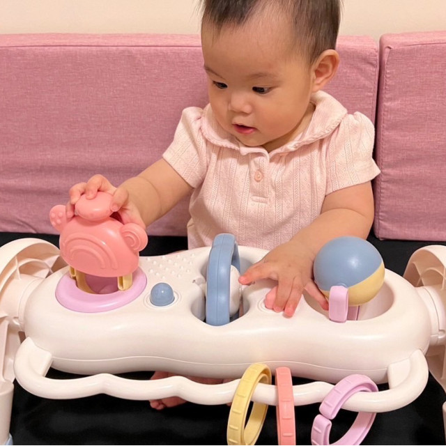 Toyroyal樂雅｜寶寶二合一智育健力架(No.3811)