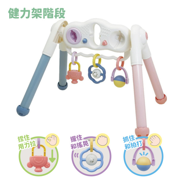 Toyroyal樂雅｜寶寶二合一智育健力架(No.3811)