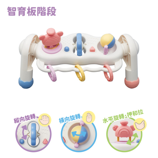 Toyroyal樂雅｜寶寶二合一智育健力架(No.3811)