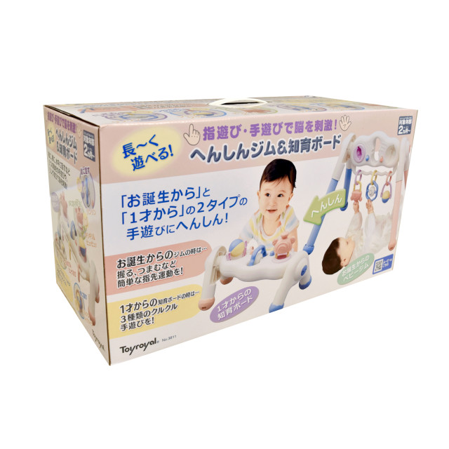 Toyroyal樂雅｜寶寶二合一智育健力架(No.3811)