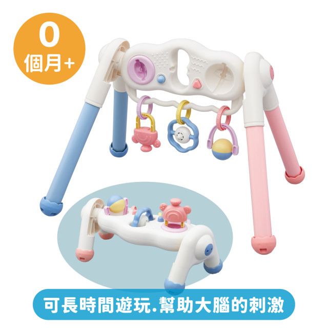 Toyroyal樂雅｜寶寶二合一智育健力架(No.3811)