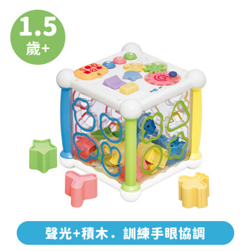 Toyroyal樂雅｜觀察力UP積木六面盒(NO.7767)