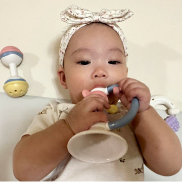 Toyroyal樂雅｜安心嘟嘟小號(NO.2100)