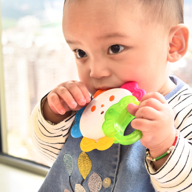 Toyroyal樂雅｜可消毒太陽花搖鈴(No.3170)